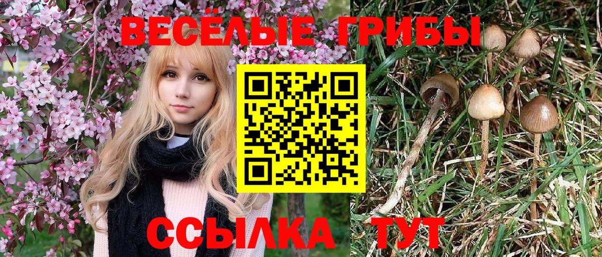 Псилоцибиновые грибы мухоморы Орск