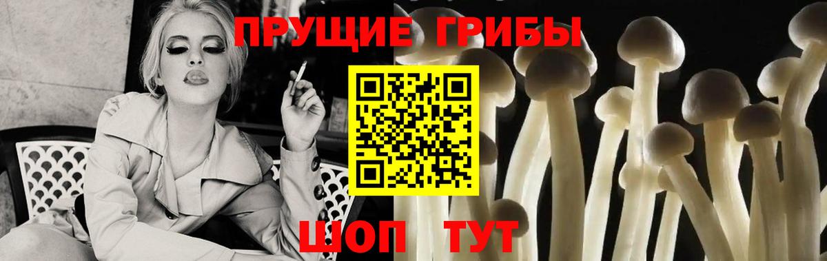 Псилоцибиновые грибы мухоморы  Вход с VPN  Орск 